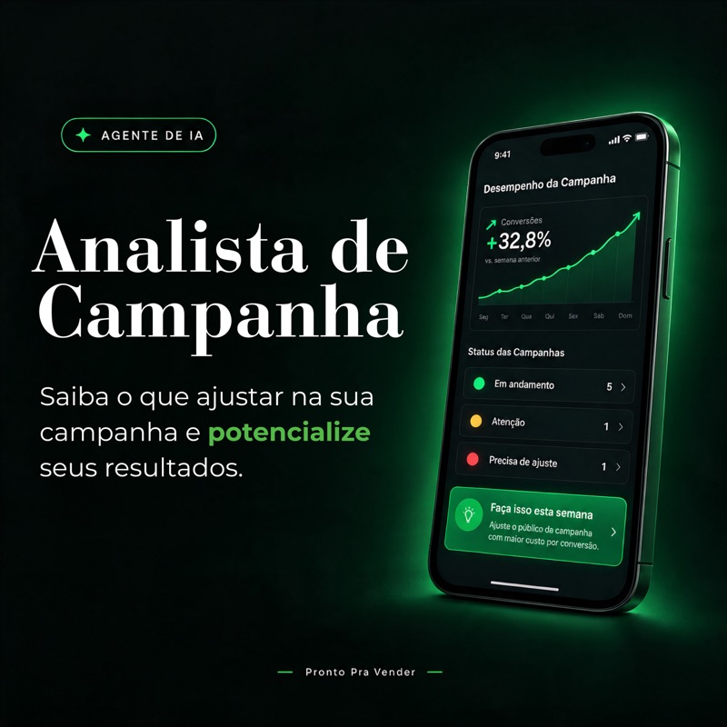 Analista de Campanha